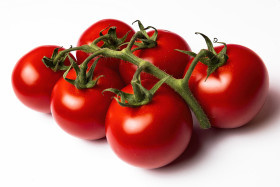 Stock Image: pan tomatoes isolated on white background