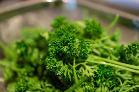 Stock Image: Parsley is washed in a sieve