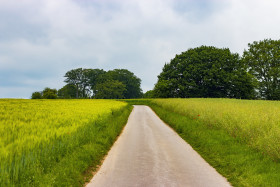 Stock Image: path through the fields - german rural landscape in may