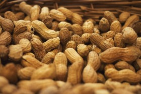 Stock Image: peanuts in a basket