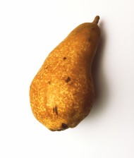 Stock Image: pear white background