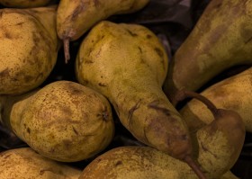 Stock Image: pears