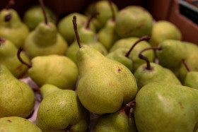 Stock Image: Pears