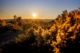 Stock Image: pechina andalucia spain forest landscape