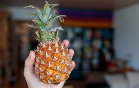 Stock Image: Pineapple in the hand