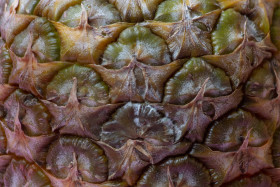 Stock Image: Pineapple texture
