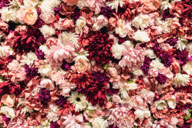 Stock Image: Plastic flowers background