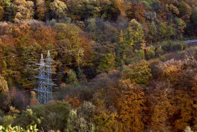 Stock Image: power line between forest