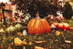 Stock Image: pumpkin and autumn leaves - fall garden autumn decoration