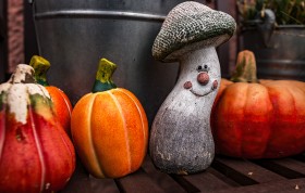 Stock Image: pumpkins and mushroom autumn decoration