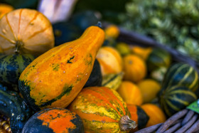 Stock Image: pumpkins at harvest time