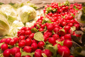 Stock Image: radish