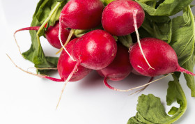 Stock Image: radish bunch isolated on white background