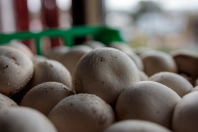 Stock Image: Raw Champignons