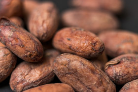 Stock Image: Raw cocoa or cacao beans