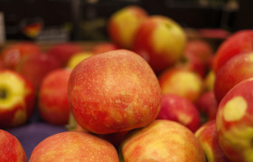 Stock Image: red apples background