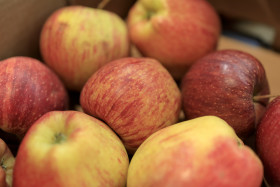 Stock Image: Red Apples from the market
