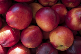 Stock Image: red peaches background - on the market