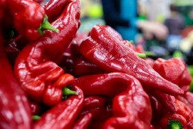 Stock Image: Red peppers