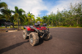 Stock Image: red quad