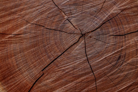 Stock Image: Reddish tree trunk texture with cracks