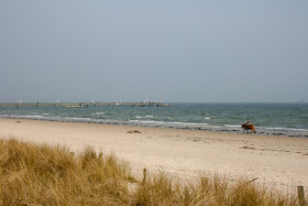 Stock Image: Rider rides his horse on the beach of the Baltic Sea
