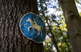 Stock Image: rider sign