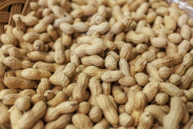 Stock Image: Ripe peanuts background