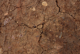 Stock Image: Riverbank clay soil Texture