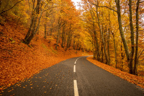 Stock Image: Romantic country road in autumn