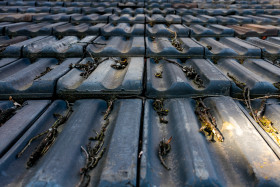 Stock Image: Roof with tiles