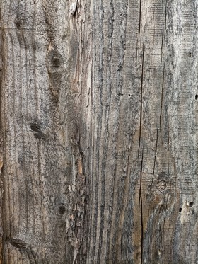 Stock Image: Rough texture of wood