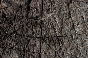 Stock Image: Rough wood texture with deep notches