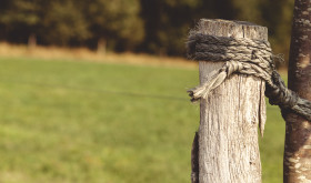 Stock Image: rural fencing post