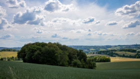 Stock Image: Rural Landscape