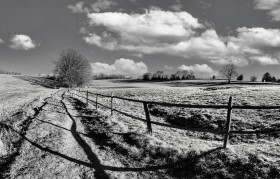 Stock Image: Rural landscape in blacknwhite