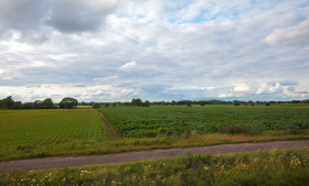 Stock Image: Rural landscape with fields and blue sky