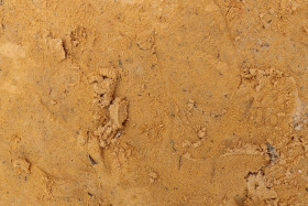 Stock Image: Sand Texture