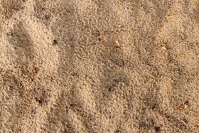 Stock Image: Sandpit Texture
