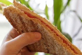 Stock Image: Sandwich Toast in a Hand