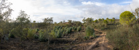 Stock Image: Sao Bartolomeu de Messines Landscape in Portugal