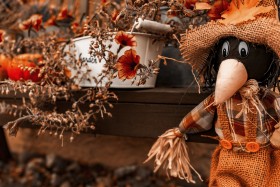 Stock Image: scarecrow raven halloween garden decor