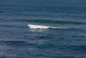 Stock Image: Sea wave