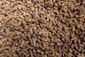 Stock Image: Sheep wool fertilizer pellets