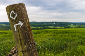 Stock Image: signpost rural landscape