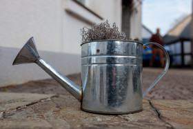 Stock Image: silver watering can