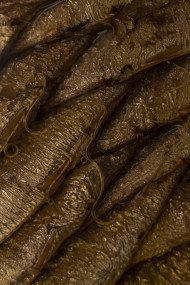 Stock Image: smoked sprats