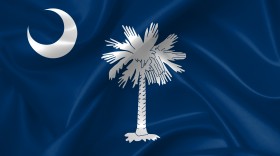 Stock Image: south carolina flag