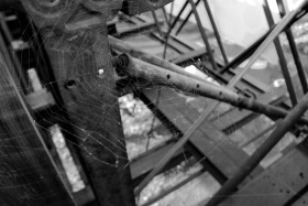 Stock Image: Spiderweb Black and White