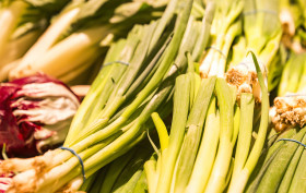 Stock Image: spring onions